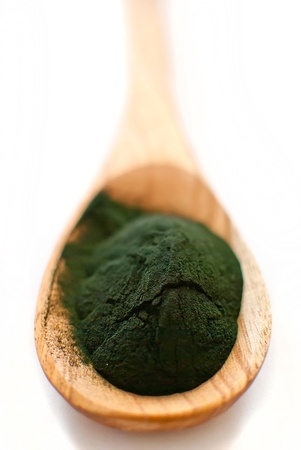 Spirulina Alge und ihre Inhaltsstoffe