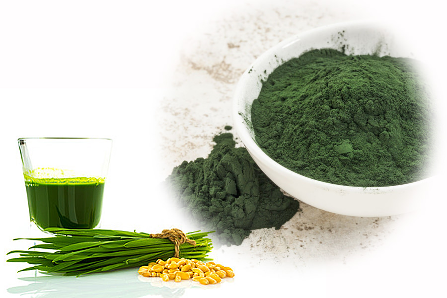 Read more about the article Spirulina Gerstengras – eine Super-Kombi!?